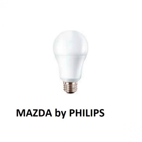 LAMPADA LED A60 75W E27 2700K