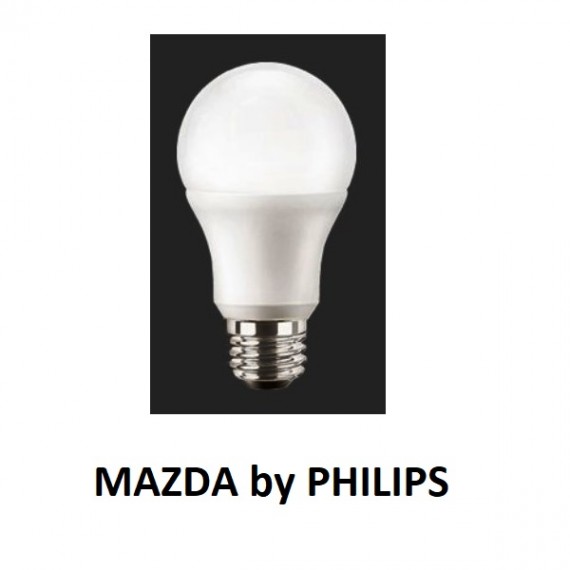 LAMPADA GOCCIA LED A60 75W E27 6500K
