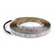 STRIP LED 60L/M 3535 24V 12W/M RGB IP20 5 MT